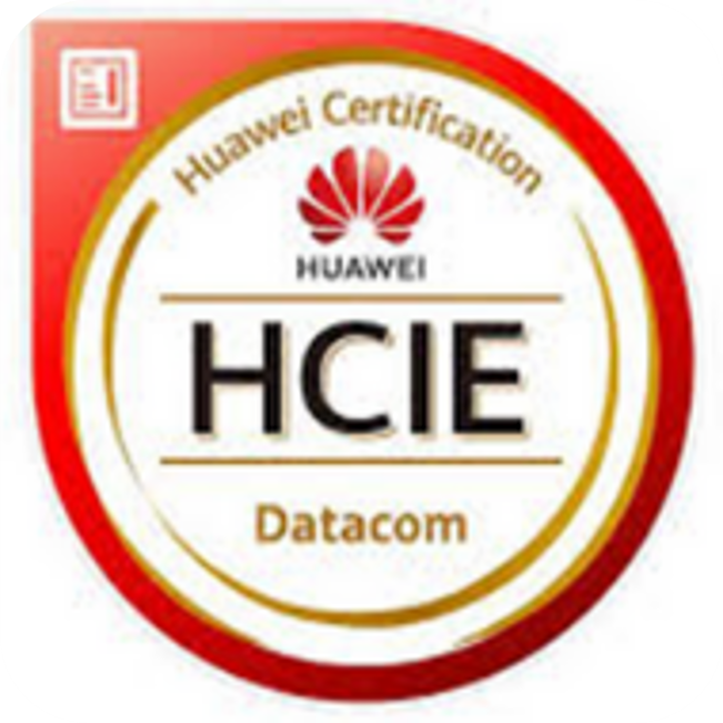 HCIE Datacom